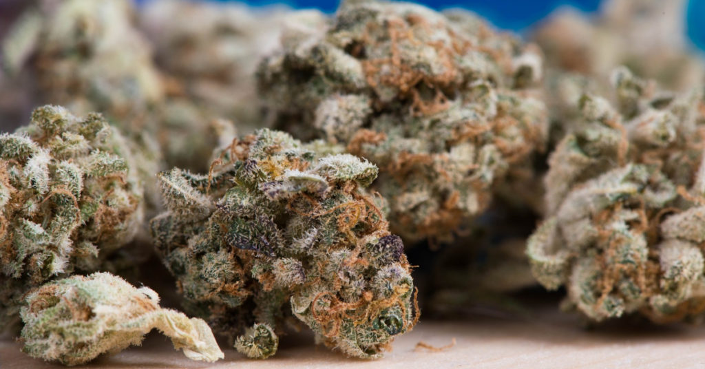 cannabis legalization