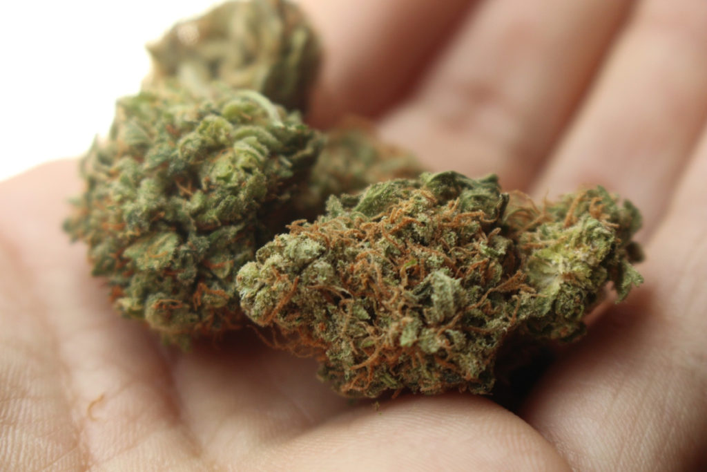 marijuana stocks