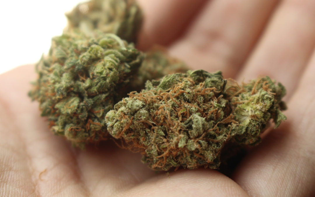 Sneaky Trick Cannabis Companies Use to Get Listed on Stock Exchanges