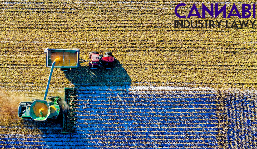 2018 Farm Bill Legalized Hemp….and Marijuana??