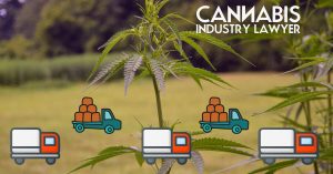 spedizione di olio di CBD attraverso i confini di stato