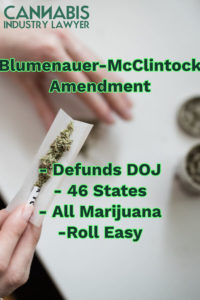 Blumenauer-McClintock details