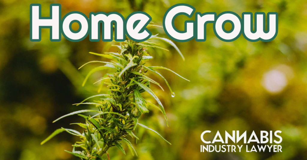 home grow