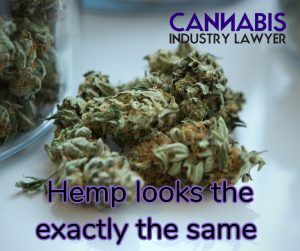 Illinois Hemp License