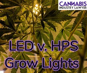 LED v HPS