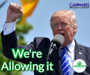 Trump Allowing States to Legalize it
