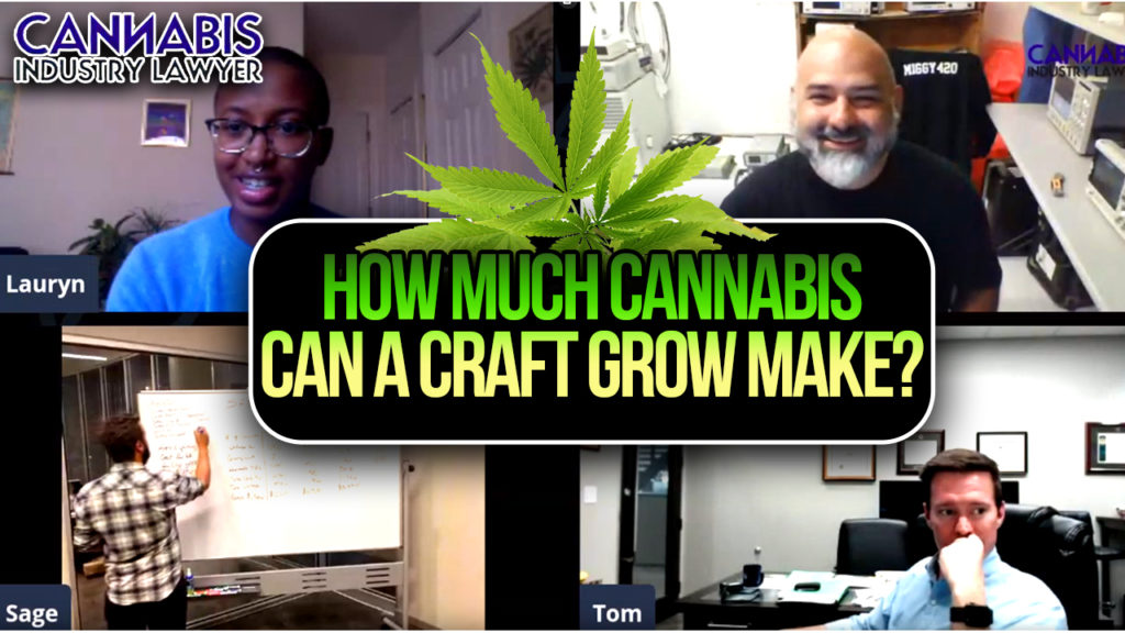 How much cannabis craft grow