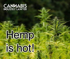 Hemp tests hot