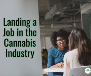 How to get a job in weed industry