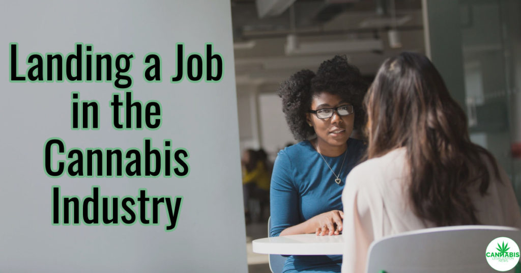 How to get a job in cannabis