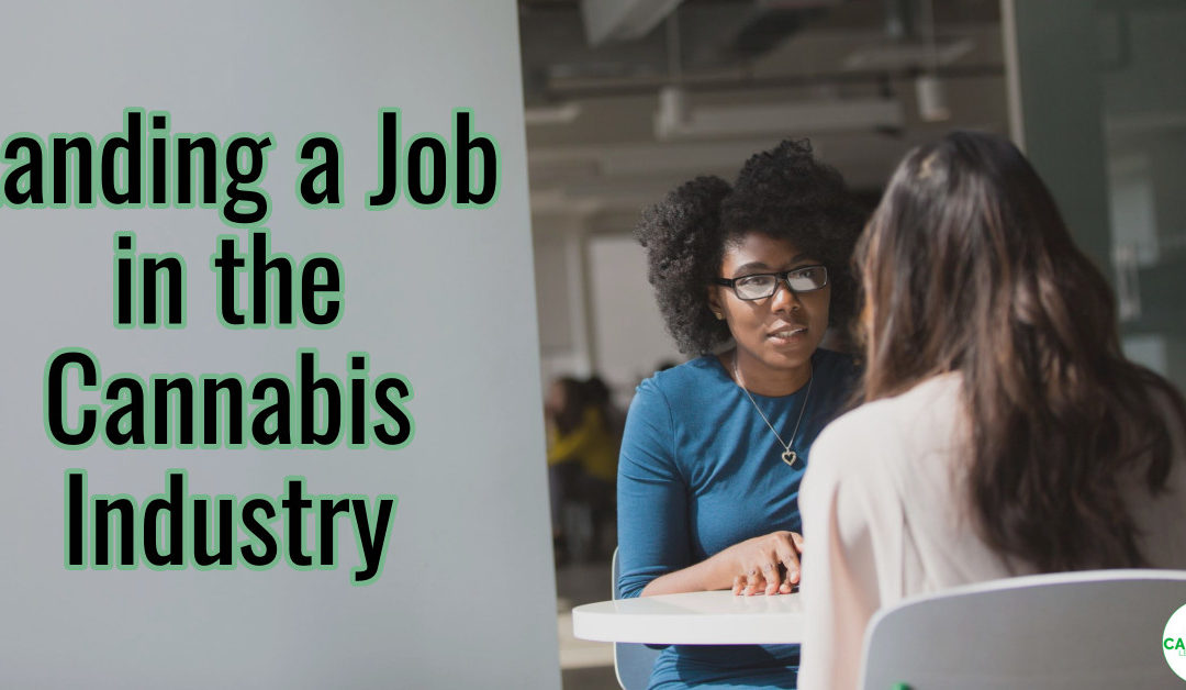 Getting a Job in the Cannabis Industry