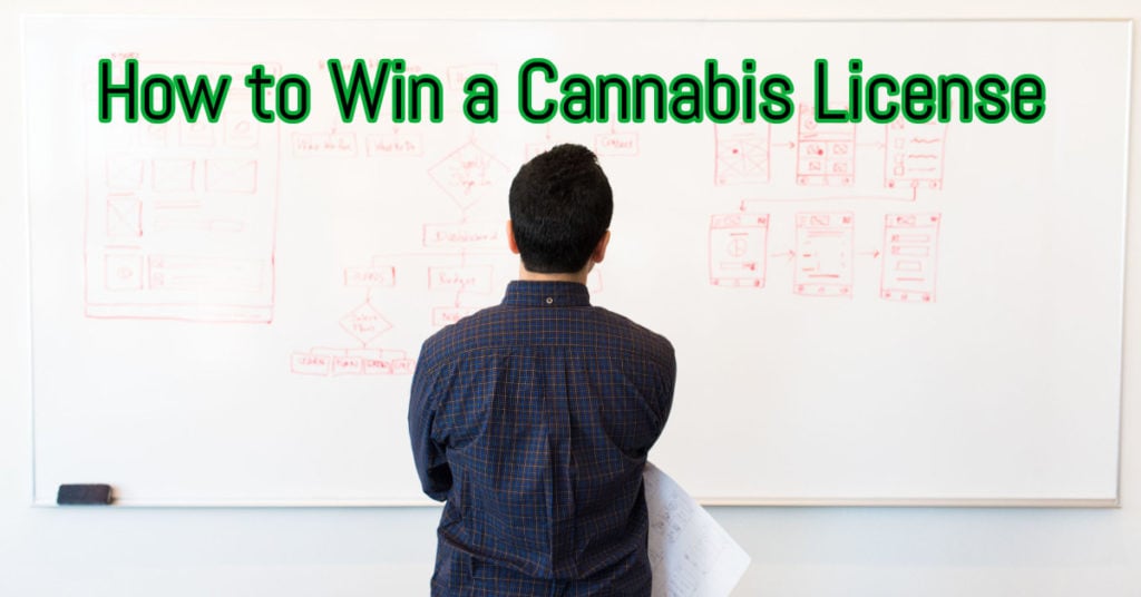 How to Win a Cannabis License with Canna Advisors