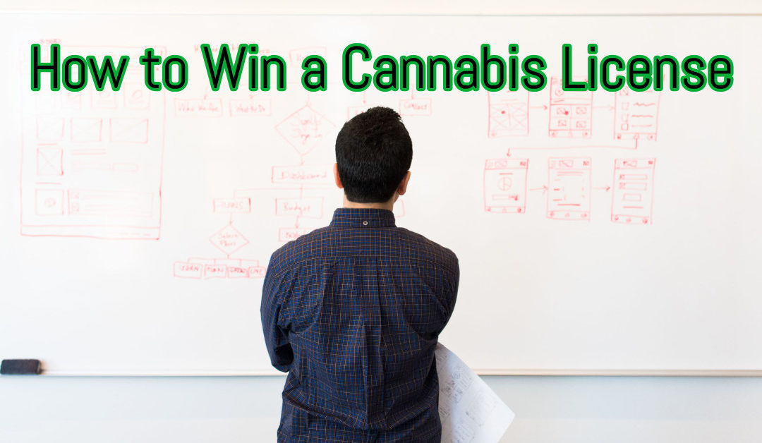 How to Win a Cannabis License