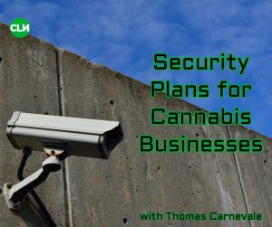 Security Plans for Cannabis Businesses