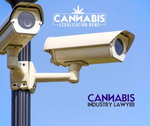 cannabis security plan