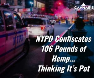 NYPD Confiscates 106 Pounds of Hemp Thinking It’s Pot