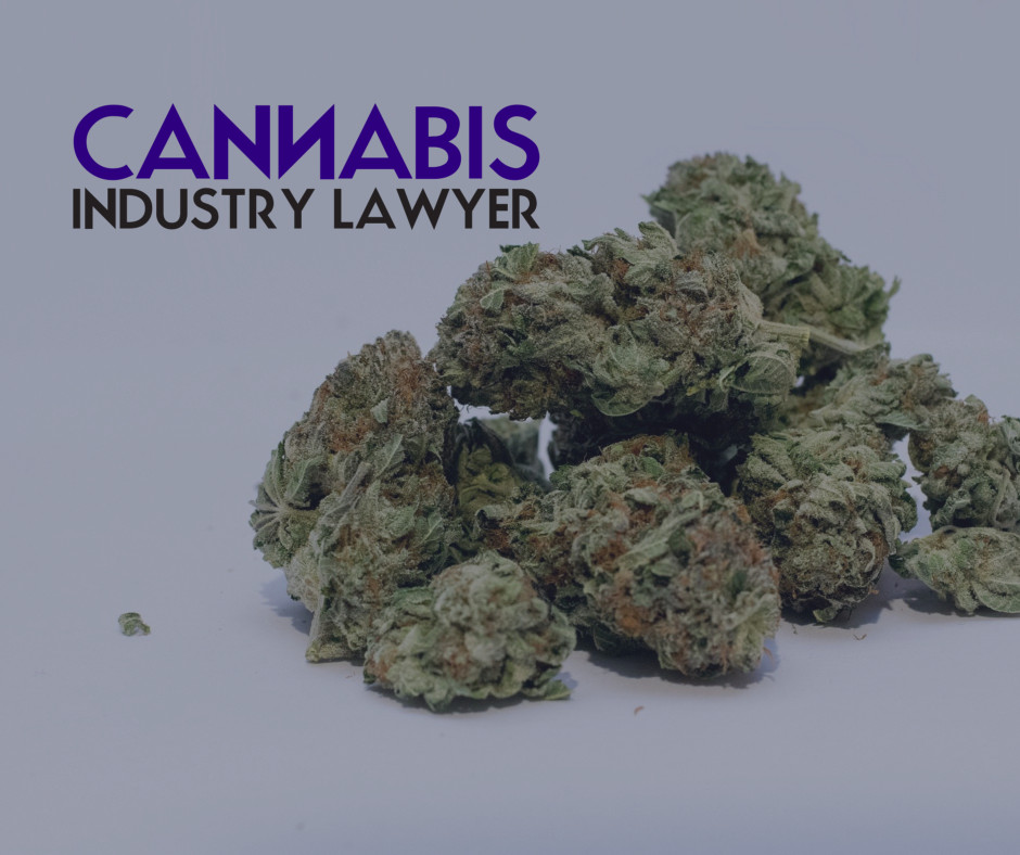 West Virginia Medical Cannabis License applications