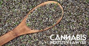 buying cannabis seeds legally online