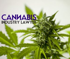 Craft Growers License Application