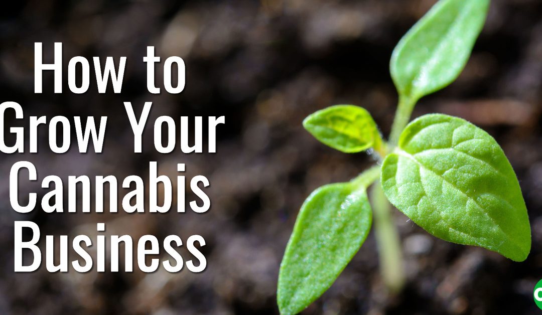 How to Grow Your Cannabis Business