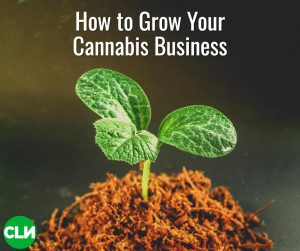 Growing Cannabis Business Cannabis Search Group