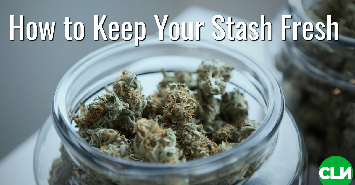 隠し場所を新鮮に保つ方法 Bovedaによる湿度管理 大麻業界の弁護士 認可されたオペレーターのためのマリファナビジネス弁護士
