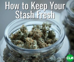 How to keep weed fresh Boveda