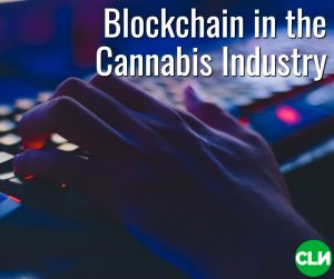 Blockchain for Cannabis Parsl (1)