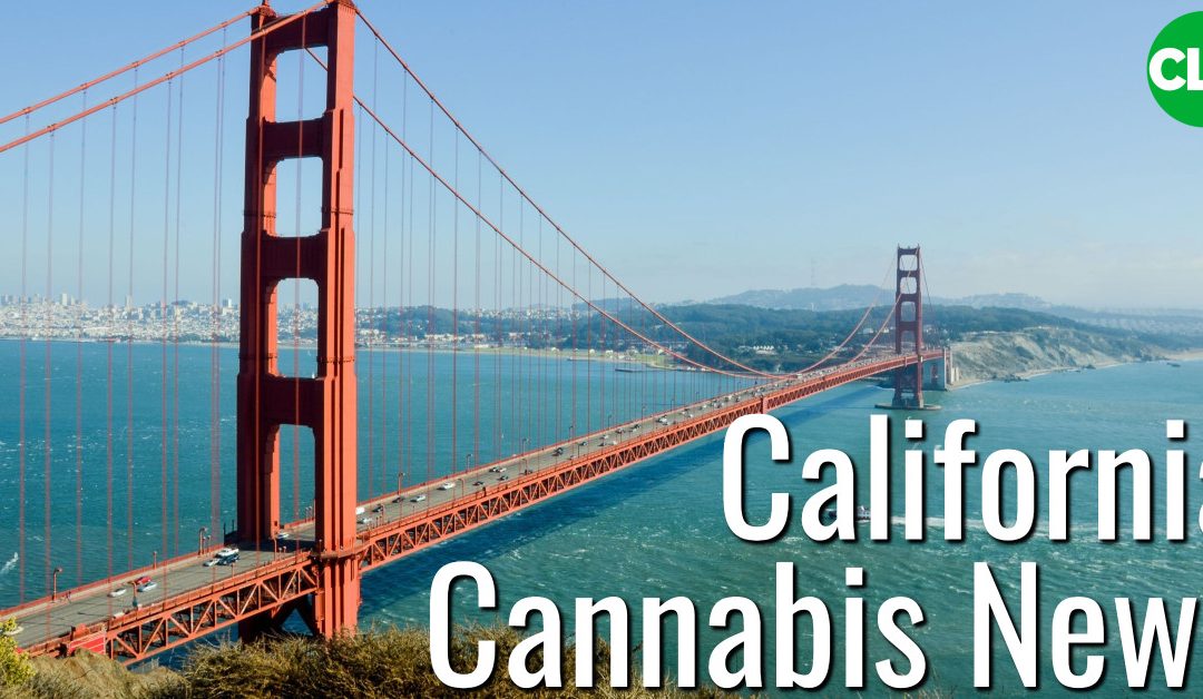 California Cannabis Lawyer