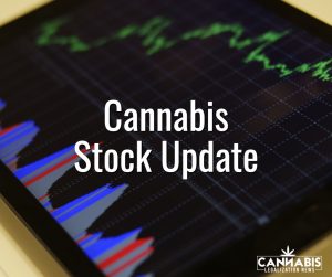 Cannabis Stock News CFN Media