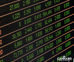 Cannabis Stock News CFN Media