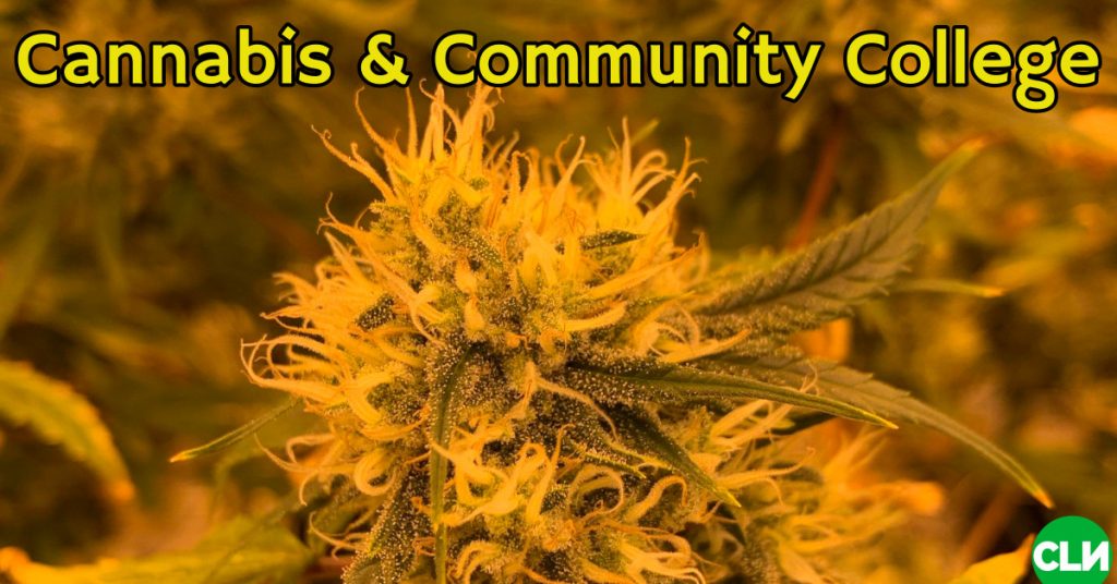 Community College Cannabis