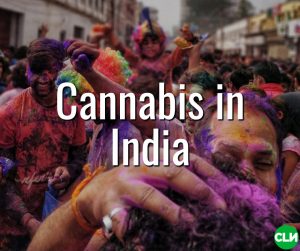 Is Cannabis Legal in India Great Legalisation Movement