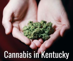 Kentucky Cannabis Lawyer Suhre Associates