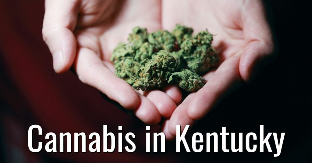 Kentucky Cannabis Lawyer Suhre Associates
