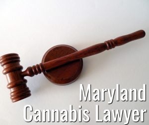 Maryland Cannabis Lawyer Kinner McGowan