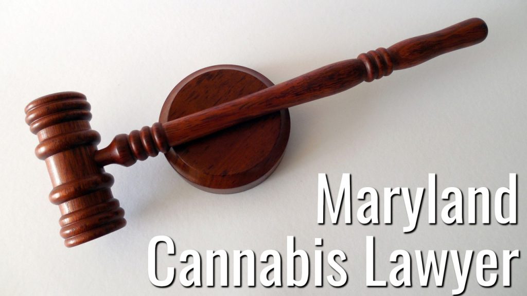 Maryland Cannabis Lawyer Kinner McGowan