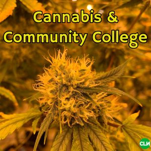 Community College Cannabis Beroeps-proefprogramma in Illinois