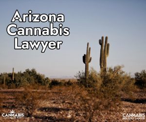 Arizona Cannabis Lawyer Thomas Dean