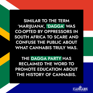 Is Cannabis Legal in South Africa Dagga Party
