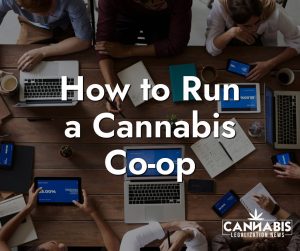 How to Run a Cannabis Co-op Chicago Cannabis Company