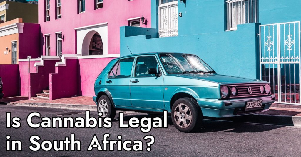 Is Cannabis Legal in South Africa Dagga Party