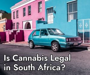 Is Cannabis Legal in South Africa Dagga Party