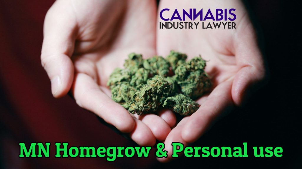 Minnesota Personal Use Cannabis