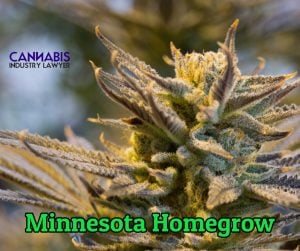 Minnesota Personal Use Homegrow Cannabis