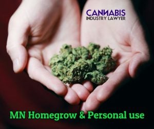 Minnesota home grow cannabis