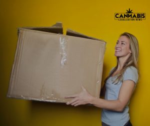 cannabis delivery license illinois