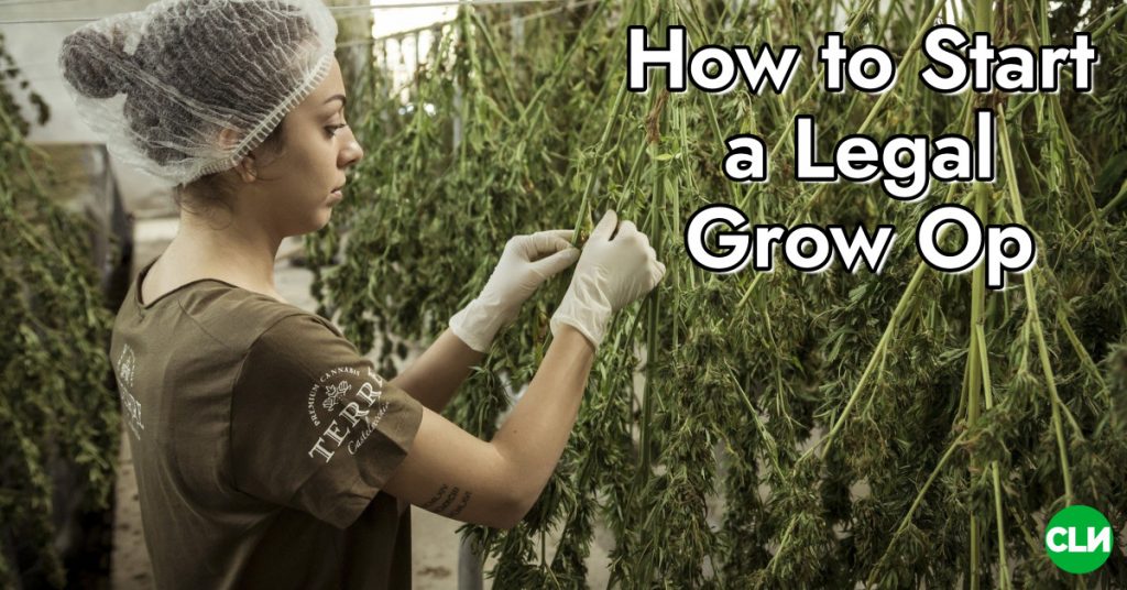 How to Start a Legal Grow Op