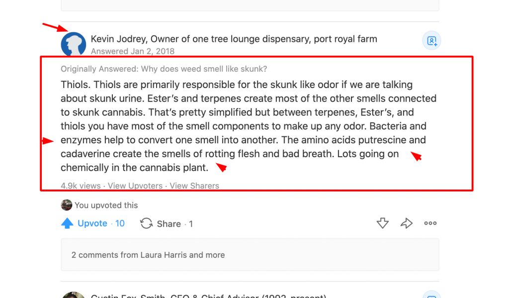 Why Does Weed Smell Like Skunk? Here's what you need to know.