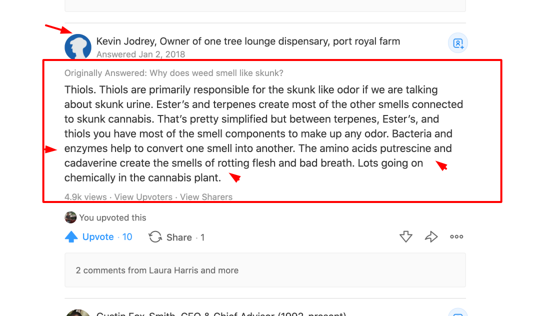 Why Does Weed Smell Like Skunk? Here's what you need to know.